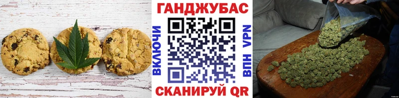 где найти   Чистополь  Canna-Cookies конопля 