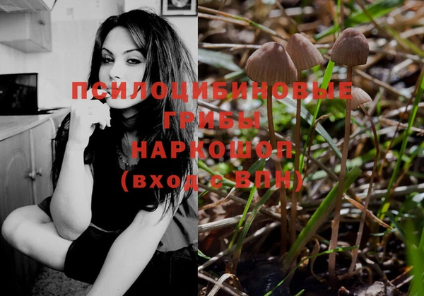 ECSTASY Новокубанск