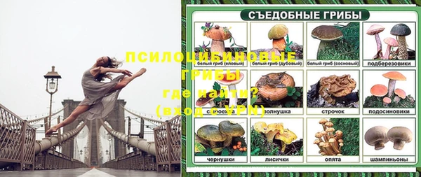 первитин Новозыбков