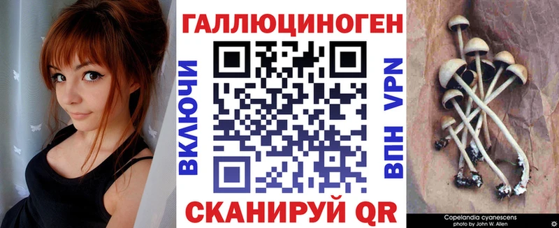 Псилоцибиновые грибы Magic Shrooms  Чистополь 